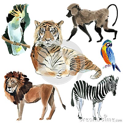 Set of wild African animals. Watercolor illustration in white background. Cartoon Illustration