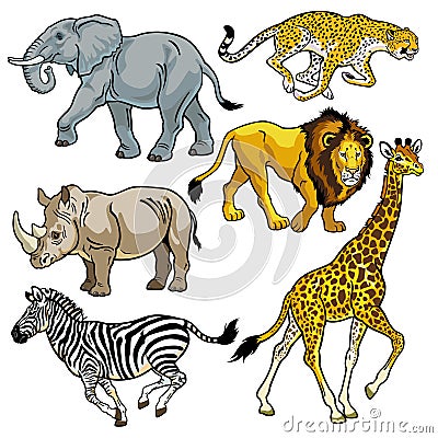 Set with wild animals of Africa Vector Illustration