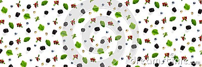 Set of wild berries, blackberry, blueberry, lingonberry and bramble.banner Background on white backdrop made from autumn forest Stock Photo