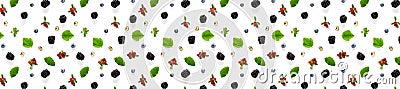 Set of wild berries, blackberry, blueberry, lingonberry and bramble. banner Background on white backdrop made from autumn forest Stock Photo