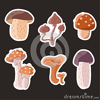 A set of wild forest mushrooms stickers chanterelle, amanita, psilocybe on dark background Vector Illustration