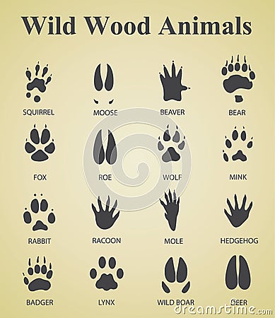 Set of wild wood animal tracks Vector Illustration