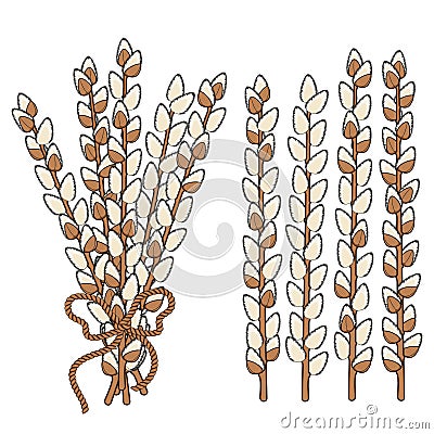 Set of willow branches. Vector Illustration