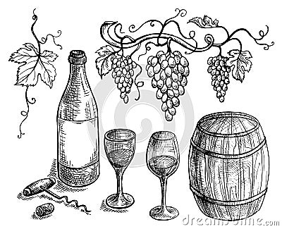 Set of wine bottle and barrel grapes Vector Illustration