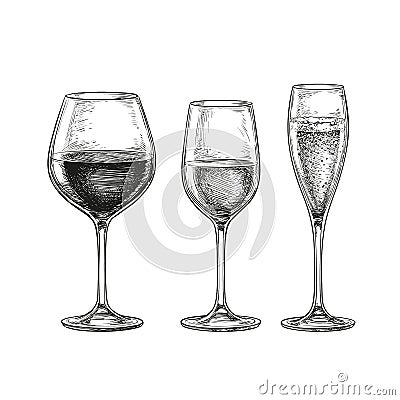 Set of wine glasses. Vector Illustration