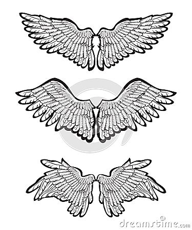 Set of Wings Vector Illustration