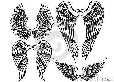 Set of Wings Vector Illustration