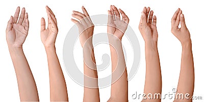 Set of woman hands isolated on white background. Stock Photo