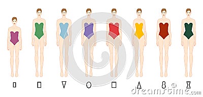 Set of Women body shape types: apple, pear, column, brick, hourglass, inverted triangle in underwear. Female Vector Vector Illustration
