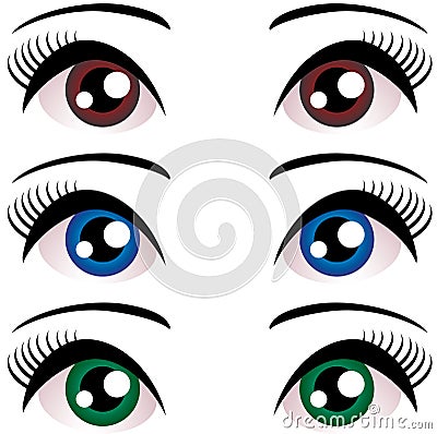 Set of Women eyes with long eyelashes. Blue, brown, green. Vector. Vector Illustration