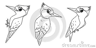 Set of Woodpeckers birds, outline vector cartoon illustration Vector Illustration