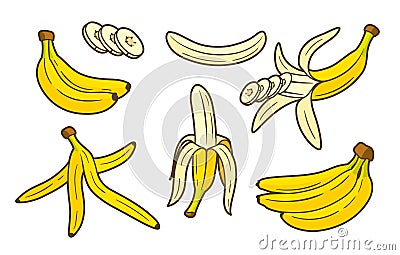 Set of yellow bananas flat isolated on white background Vector Illustration