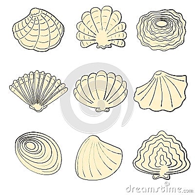 Set of yellow ink seashells Stock Photo