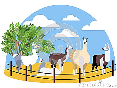 Seth, animals lama. Farming. In minimalist style Cartoon flat Vector Vector Illustration