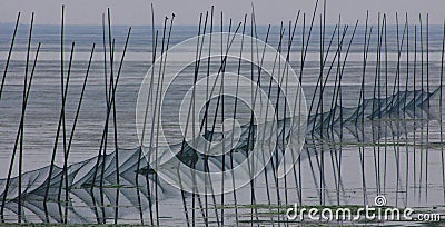 Fishing nets in the lake Stock Photo