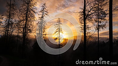The setting sun makes the rising haze in the Black Forest burn after a shower Stock Photo