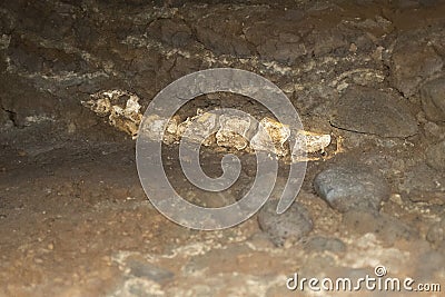 The Settlement Exhibition Museum based on the 10th century Viking longhouse in Reykjavik, Iceland Editorial Stock Photo