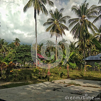 settlements under coconut trees, editorial photos are needed for various purposes of news, newspapers, magazines etc Stock Photo