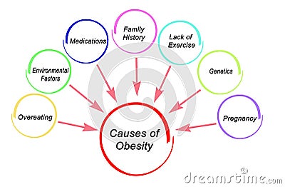 Seven Causes of Obesity Stock Photo