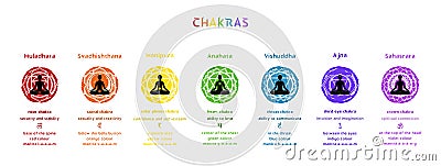 Seven chakras and mandalas with it's names and information for yoga practice and meditation. Vector Illustration