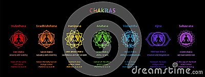 Seven chakras and mandalas with it's names and information for yoga practice and meditation. Vector Illustration