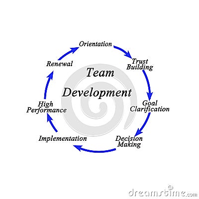 components of Team Development Stock Photo