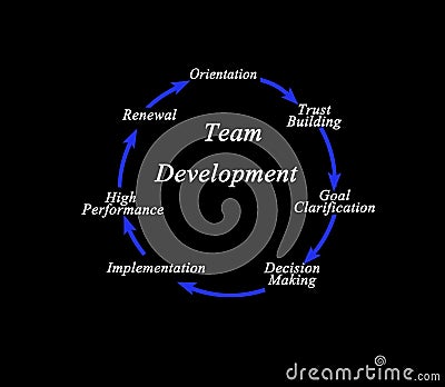 components of Team Development Stock Photo