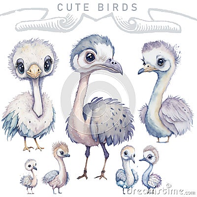 Cute Assorted Birds Ostriches Watercolor AI Generated Stock Photo