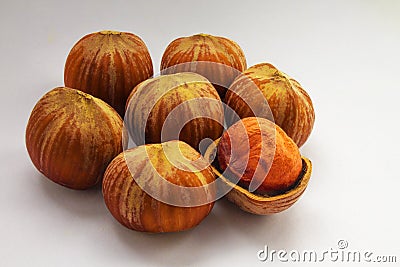 Seven forest nuts Stock Photo