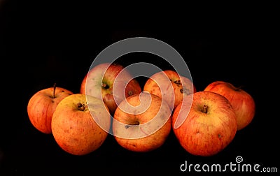 Seven light red apples on a black background. Fruits front view, nature, healthy, autumn wallpaper Stock Photo