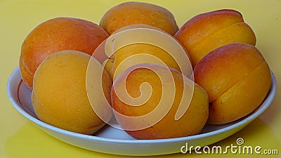 seven, ripe, juicy, apricots, white, plate, yellow, isolate, summer, food, background, picture. Stock Photo