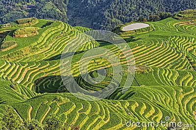 Seven Stars Accompany the Moon, part of the Dragons Backbone Rice Terraces Stock Photo