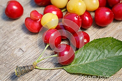 Several berries of red and white cherry with leaves scattered on a wooden surface Stock Photo