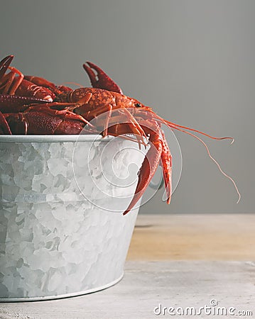 Galvanized steel bucket filled with boiled crawfish. Side view, gray background with copy space. Stock Photo