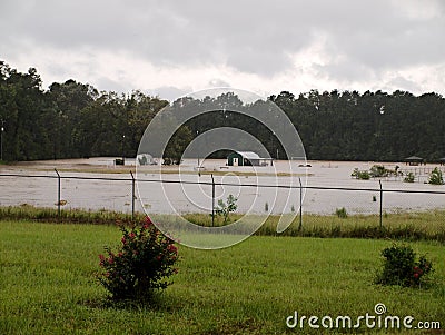 Pedigo Park Buildings Under Water Editorial Stock Photo