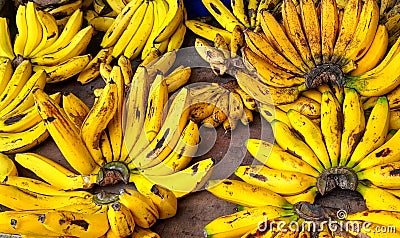 several bunches of fresh yellow bananas on a brown carpet Stock Photo