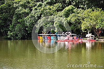 Several colorful pedal boats standing by the lake Editorial Stock Photo