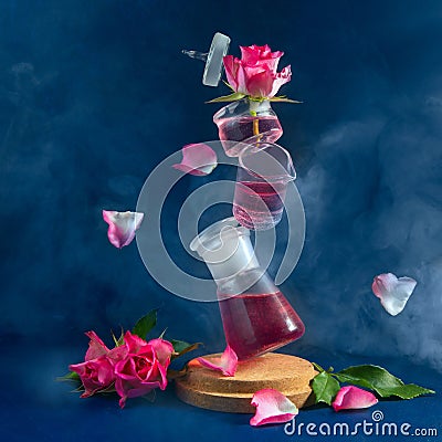 Several flasks are in the air. Levitation. Pink roses and flying petals. Mystical picture. Blue background, smoke Stock Photo