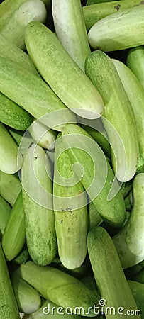 Several fresh cucumbers for sale Stock Photo