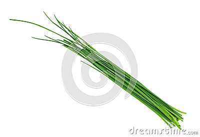 several fresh leaves of Chives isolated on white Stock Photo