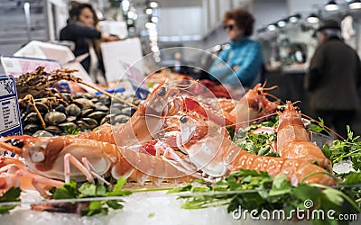 Several fresh Norway lobsters on a fish stand Editorial Stock Photo