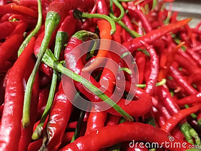 several fresh red chilies Stock Photo