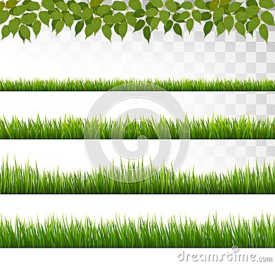 Several grass borders. Vector Illustration