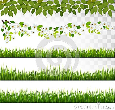 Several grass borders. Vector. Vector Illustration