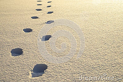 Several human footprints Stock Photo