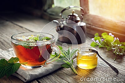 Several medicinal plants and herbs on table, healthy herbal tea cup, honey jar and vintage copper tea kettle Stock Photo