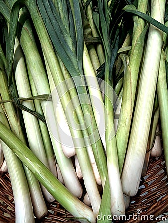 Several pieces of leek - food Stock Photo