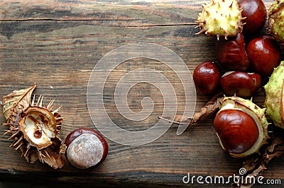 Several ripe chestnuts Stock Photo