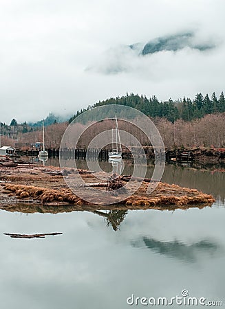 Several sail boats in British Columbia, docked for winter Stock Photo