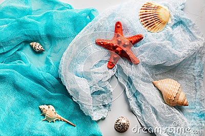 Seashells and starfish on cian and white cloth Stock Photo